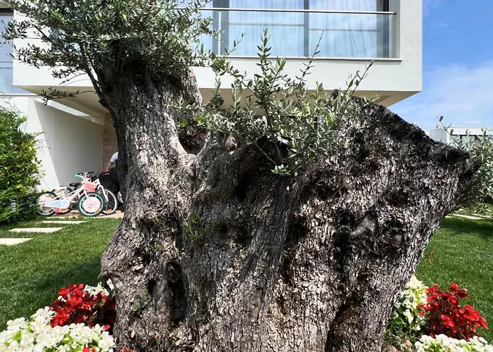 San Pietro 2 * Durrës